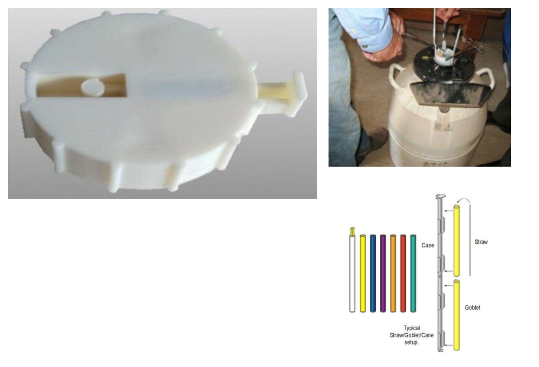 <ul><li><p>AI rod </p><ul><li><p>straws of semen </p></li><li><p>goblets</p></li><li><p>canes </p></li></ul></li></ul><ul><li><p>liquid nitrogen tanks </p></li><li><p>semen straw cutter </p></li></ul><p></p>