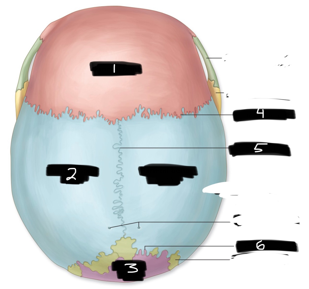 <p>4</p>