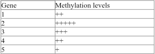 <p>You are a researcher studying the genetic basis of colon cancer. You have been working with a colon cancer cell line to determine the expression levels of different genes that might contribute to cancer formation. You obtain the DNA methylation status of five genes of interest (the data are shown in the table below). The plus (+) sign indicates the level of DNA methylation; more plus signs correlate with increased methylation levels.</p>