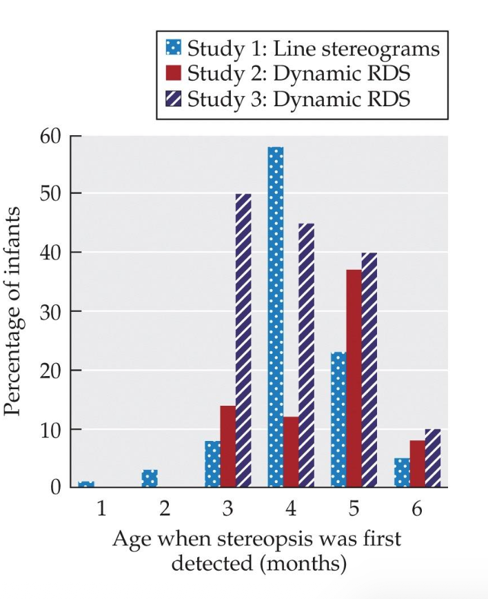 <p><u>Development of Binocular Vision: Stereoacuity</u></p><p><span style="color: yellow;">Abnormal visual experience, especially during the __ period, can disrupt binocular vision.</span></p><p class="p1"><span style="color: rgb(248, 146, 146);">?: A measure of the smallest binocular disparity that can generate a perception of depth.</span></p><p class="p1"><span style="color: rgb(254, 158, 158);">• Shows up suddenly in infants 3 – 5 __.</span></p><p class="p1"><span style="color: rgb(254, 158, 158);">• Stereoacuity is often tested using __ stimuli.</span></p><p class="p2"><span style="color: rgb(246, 8, 8);"><span data-name="arrow_right_hook" data-type="emoji">↪</span> T/F: Dichoptic Stimuli: Referring to the presentation of two stimuli, one to each eye.</span></p>