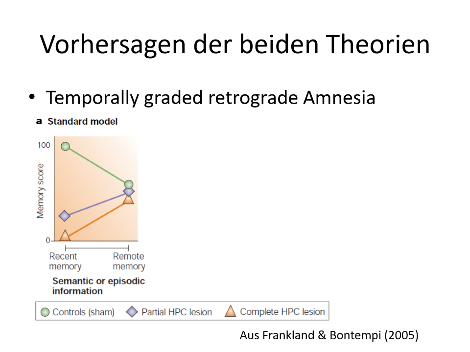 <p><span style="background-color: rgb(229, 224, 236);">Standardmodell; episodische und semantische Information</span></p><p><span style="background-color: rgb(229, 224, 236);"><strong>KG:</strong></span></p><p><span style="background-color: rgb(229, 224, 236);">Kürzlich erworbene Erinnerungen:</span></p><ul><li><p><span>Werden gut erinnert</span></p></li></ul><p><span style="background-color: rgb(229, 224, 236);">Ältere Erinnerungen:</span></p><ul><li><p><span>Werden schlechter erinnert</span></p></li></ul><p><span style="background-color: rgb(229, 224, 236);"><strong>Komplette Hippocampus Läsion:</strong></span></p><p><span style="background-color: rgb(229, 224, 236);">Ältere Erinnerungen:</span></p><ul><li><p><span>Werden gut erinnert; unterscheiden sich nicht von KG</span></p></li></ul><p><span style="background-color: rgb(229, 224, 236);">Kürzlich erworbene Erinnerungen:</span></p><ul><li><p><span>Es herrscht ein massives Defizit</span></p></li></ul><p><span style="background-color: rgb(229, 224, 236);"><strong>Partielle Hippocampus Läsion:</strong></span></p><p><span style="background-color: rgb(229, 224, 236);">Ältere Erinnerungen:</span></p><ul><li><p><span>Werden gut erinnert; unterscheiden sich nicht von KG</span></p></li></ul><p><span style="background-color: rgb(229, 224, 236);">Kürzlich erworbene Erinnerungen:</span></p><ul><li><p><span>Besser als Gruppe mit Komplette Hippocampus Läsion, aber auch hier herrscht ein Defizit</span></p></li></ul><p></p>