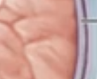 <p>What is this </p>