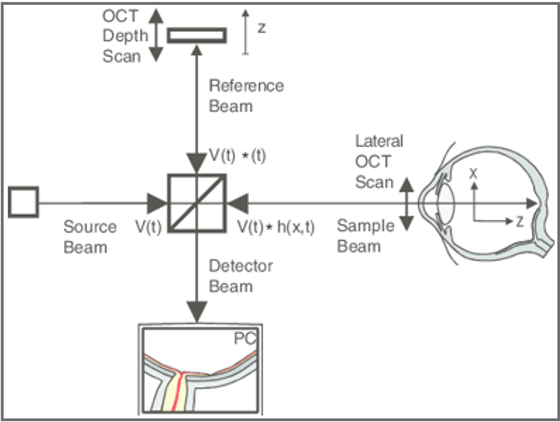 <p>What Optical Coherence tomography and how does its process work?</p>