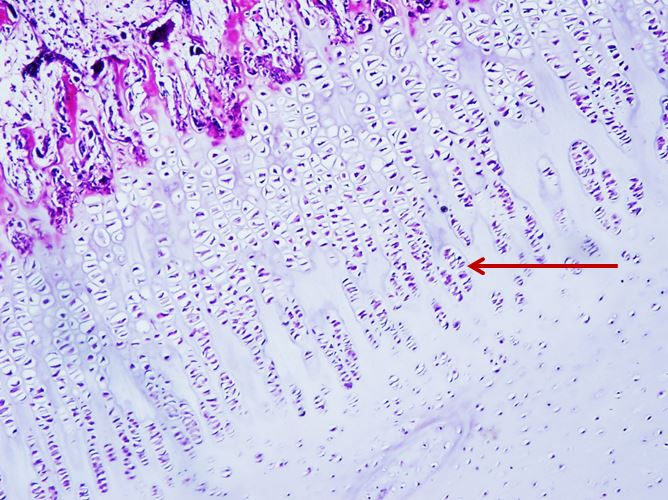 <p>Cấu trúc gì ?</p>