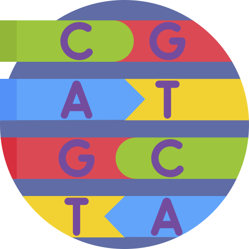 <p>Name the four <strong>DNA bases.</strong></p>