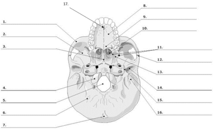 <p>What is number 7?</p>