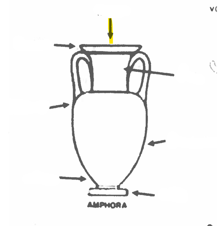 <p>What is this part of an amphora called?</p>
