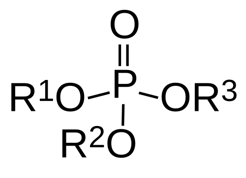<p>A phosphated ester is when an alcohol group interacts with phosphorous pentoxide and forms a phosphoryl compound. </p>