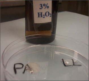 <p>H2O2 → 2 H2O + O2</p><p>catalase test</p>