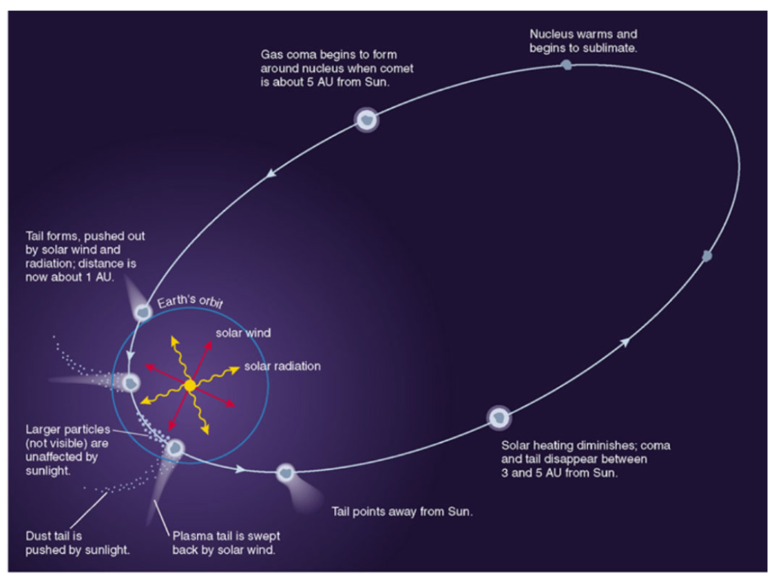 <ul><li><p><span style="background-color: transparent;">As a comet gets closer to the sun, the solar wind and radiation heats the coma and makes an ion tail. </span></p></li><li><p><span style="background-color: transparent;">The dust tail is pushed by the sunlight/wind.&nbsp;</span></p></li></ul><p></p>