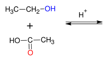 <p>Fischer Estherification </p>