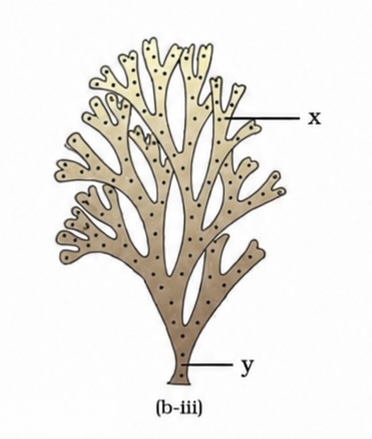 <p></p>