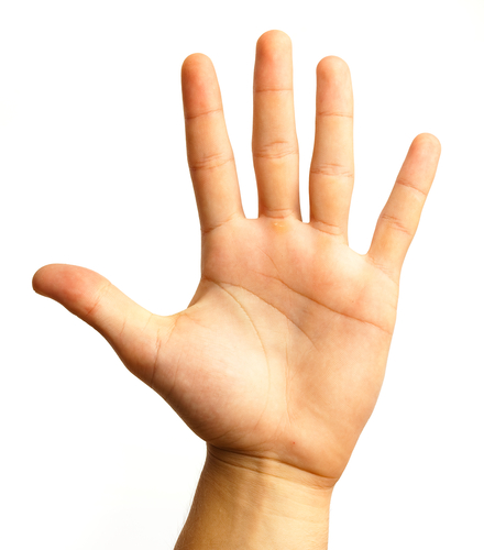 <p>How are the Digits / Metacarpals are numbered?</p>
