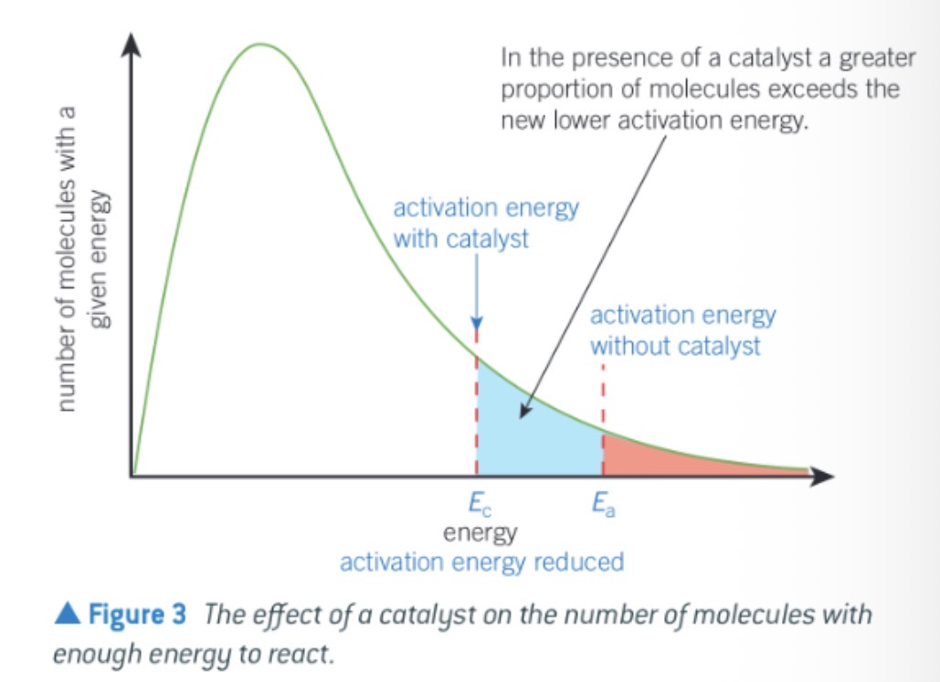 <ul><li><p>a catalyst provides an alternative reaction route with a lower activation energy</p></li><li><p>Compared to activation energy, a greater proportion of molecules now have an energy equal to or greater than the lower activation energy</p></li><li><p>In collision, more molecules will react to form products. The result is an increase in the rate of reaction</p></li></ul><p></p>