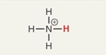 <p>What is the pKa of Ammonium</p>