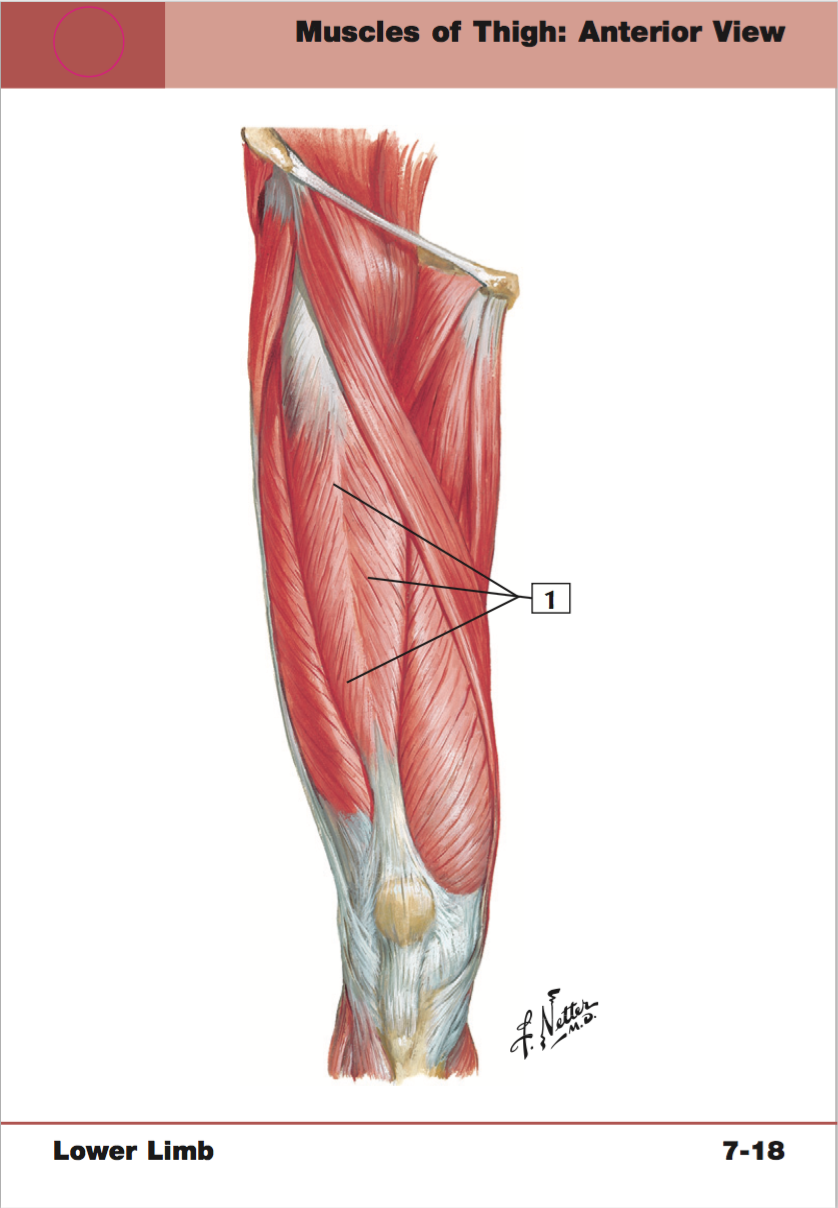 <p>+origin/insertion</p>