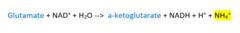 <p>reaction in which the transferred amine on glutamate gets released as a free ammonium ion and produces alpha-ketoglutarate</p>