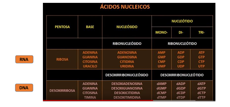 <p>imagen</p>