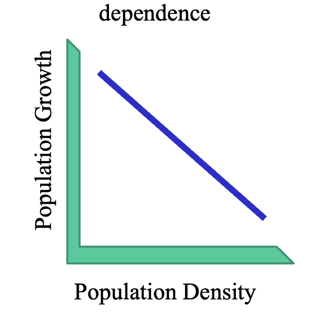 <p>when pop growth decreases and pop density increases (from increased competiotion)</p>