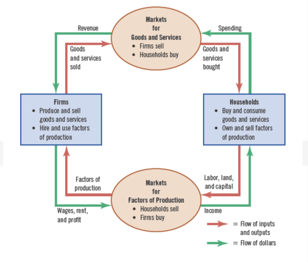 <p><span>a visual model of the economy that shows how dollars flow through markets among households and firms</span></p><p></p>