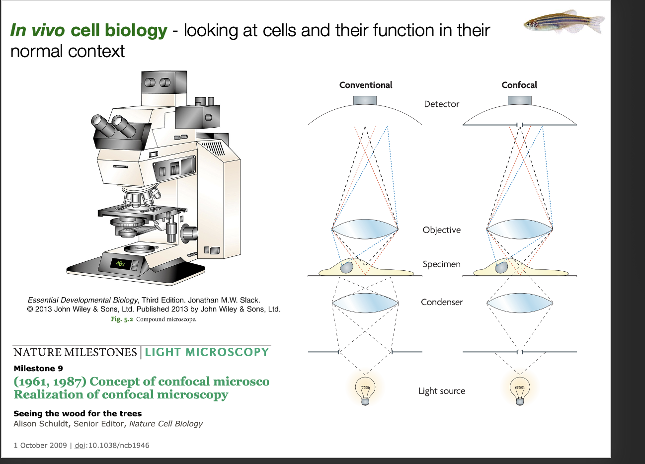 <ul><li><p>cells in vivo</p></li><li><p>will just blur the image</p></li></ul><p></p>