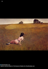 <p>In Christina's World, an example of American Realism, by Andrew Wyeth, the large open field surrounding the figure primarily creates:</p>