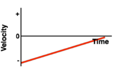 <p>This graph tells us that the object’s velocity and time in a uniformly accelerated motion is _________</p>