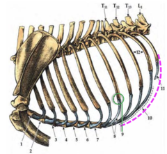 <p>1-7?</p>