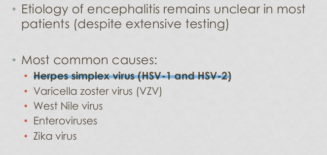 <p>HSV-1&amp;2</p><p></p>