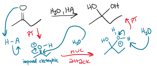 <p>proton transfer, nucleophilic attack, proton transfer</p>