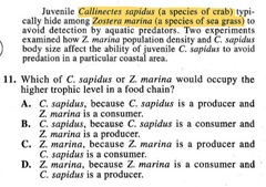 <p>An organism that eats other organisms.</p>