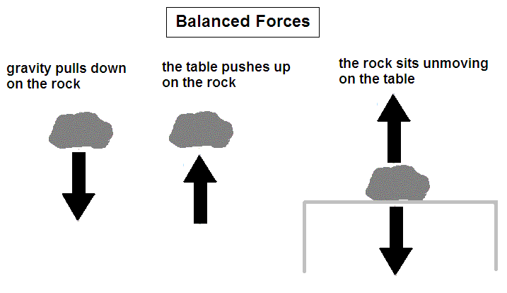 <p>Action force: The Earth exerts a force on the rock downwards</p><p>Reaction force: The rock exerts a force on the Earth upwards </p><ul><li><p>As the gravitational force of the Earth is much larger (unbalanced force) the rock accelerates at 9.81m/s2 (object accelerates in the direction of that net force)</p></li></ul><p></p>