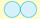 <p>What is the morphology of this bacteria?</p>