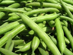<p>green</p>
