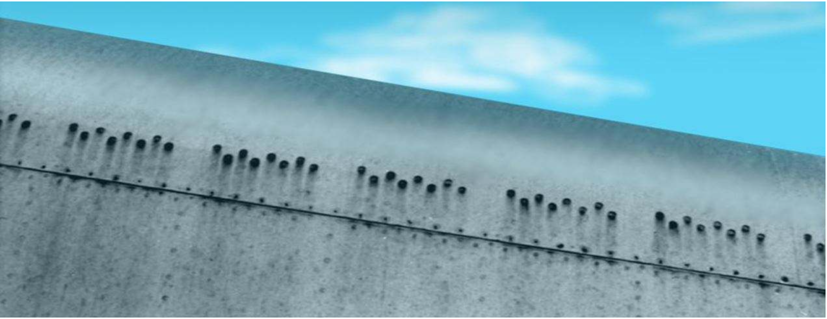 <p>What type of corrosion is this?</p>