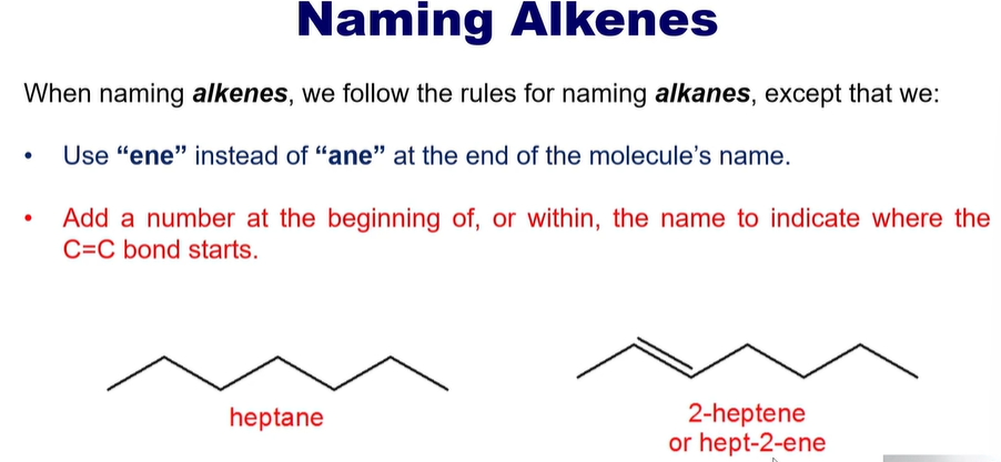 <ul><li><p>ene</p></li></ul><p></p><p>YOU HAVE TO DO CIS OR TRANS</p>