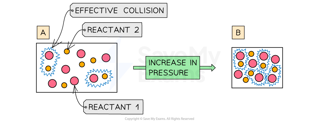 <p>Increasing the pressure means that there are the same number of reactant particles in a smaller volume</p><ul><li><p>This causes more collisions per second</p></li><li><p>Leading to more frequent and successful collisions per second</p></li><li><p>Therefore, the rate of reaction increases</p></li></ul><p></p>