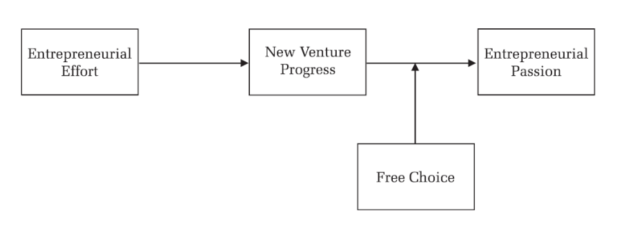 <ul><li><p>entrepreneurial effort: intensity of work</p></li><li><p>new venture progress: sense that the venture is moving forward</p></li><li><p>entrepreneurial passion: intense positive emotion tied to entrepreneurial activities</p></li><li><p>free choice: evidence of genuine feelings when believed to have acted voluntarily</p></li></ul><p></p>