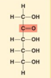 <p>reibulose</p>