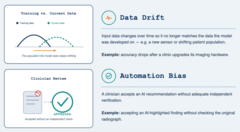 <p>Automation bias</p>