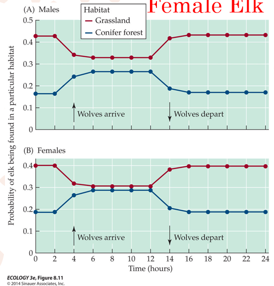 <p>Male elks slightly less risk-averse, while females are more risk-averse.</p>