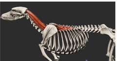 <p>Identify</p>