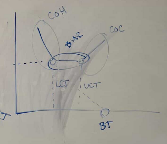<p>COH = BMR/(BT - LCT)</p>
