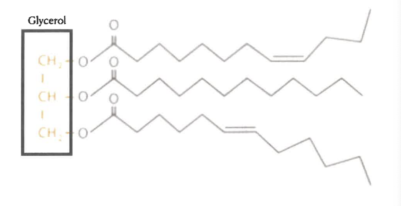 <p>this molecule would be classified as a </p>