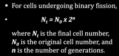 <p>Exponential growth → cells = 2^n (n - number of generations)</p><p>1 cell dividing every 30 min for 24 h → 48 generations </p><p>→ 2^48 ≈ 2.8 × 10^14 cells</p>