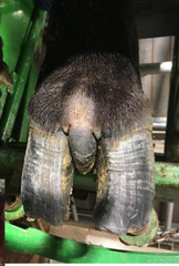 <p>What is this?</p>