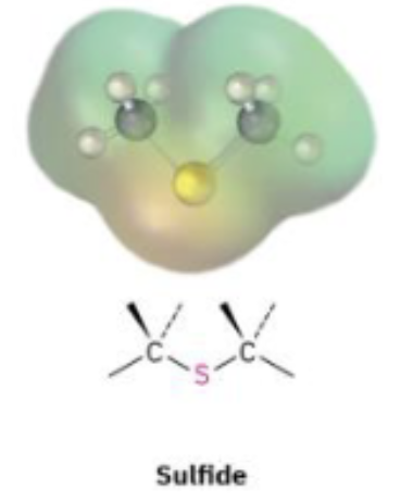 <p>An sulfur (instead of oxygen) atom connected to two separate carbon atoms by single bonds</p>