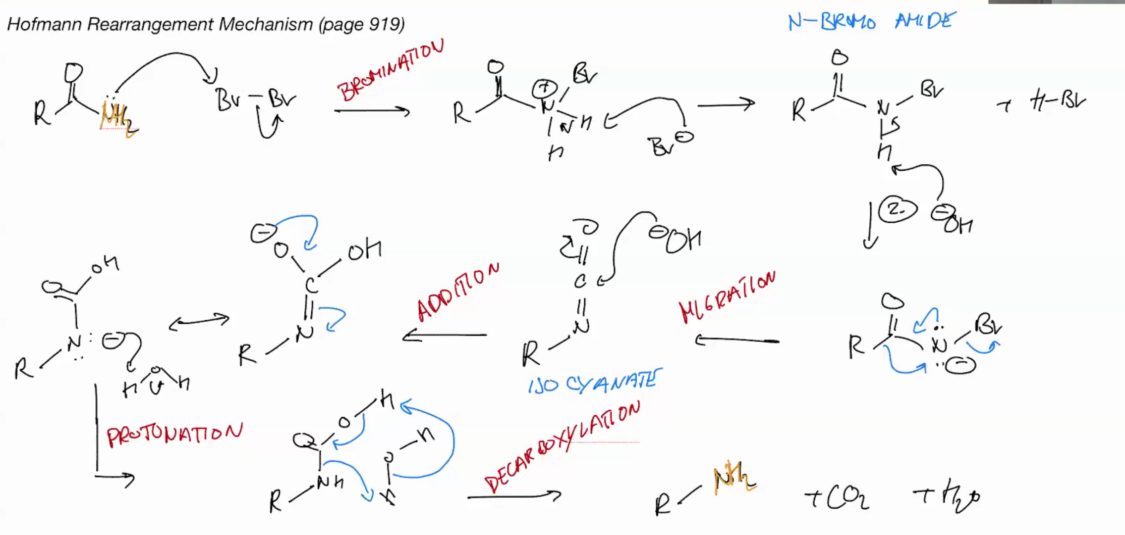 <p>stops as isocyanate cuz basic</p>