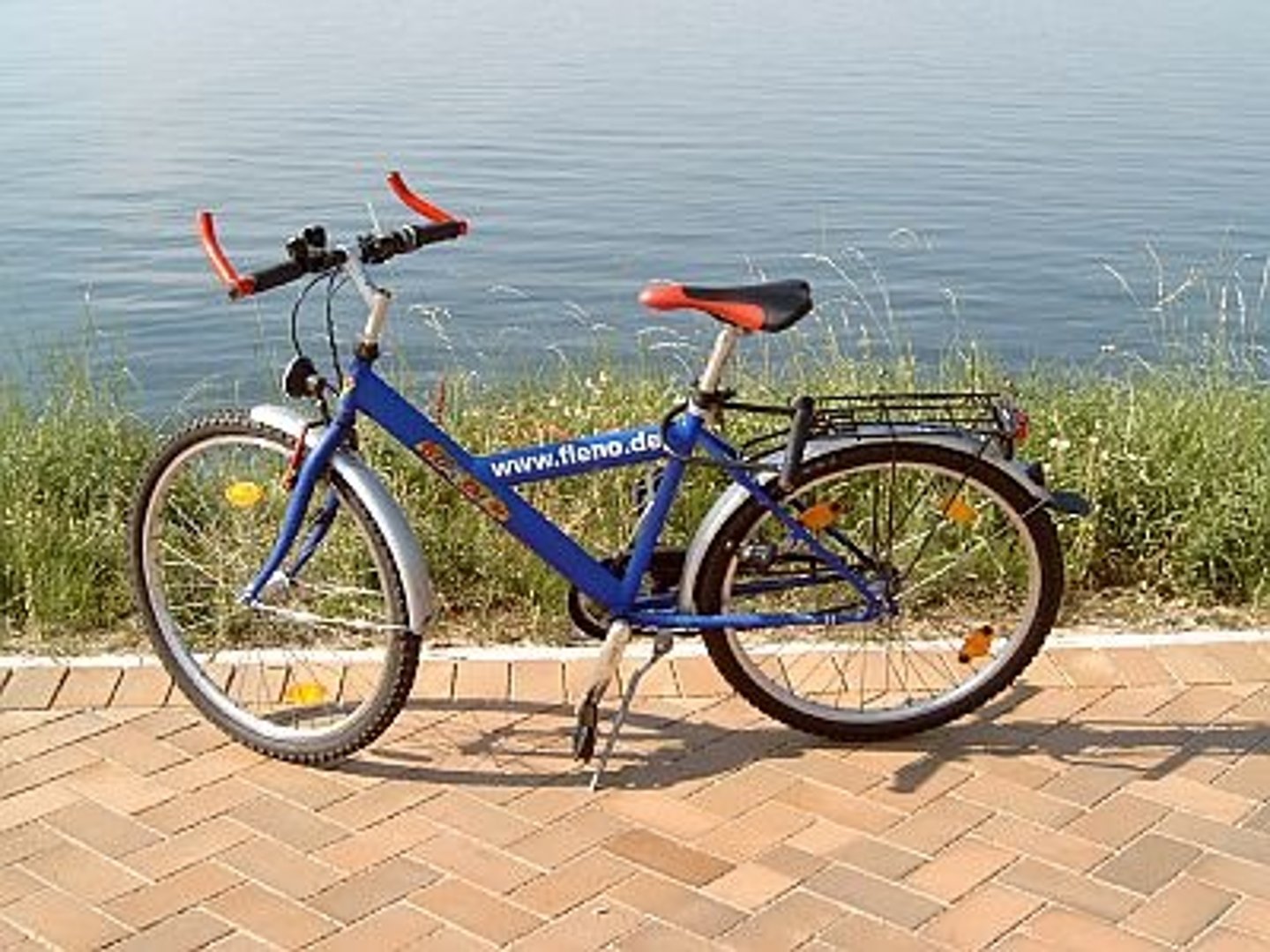 <p>the bike</p>