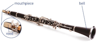 <p>Clarinet</p>